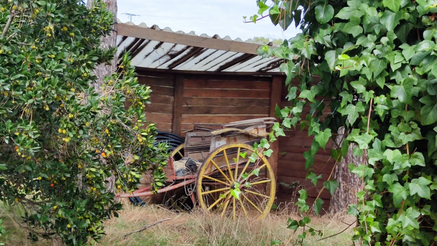 Preciosa casa en el campo