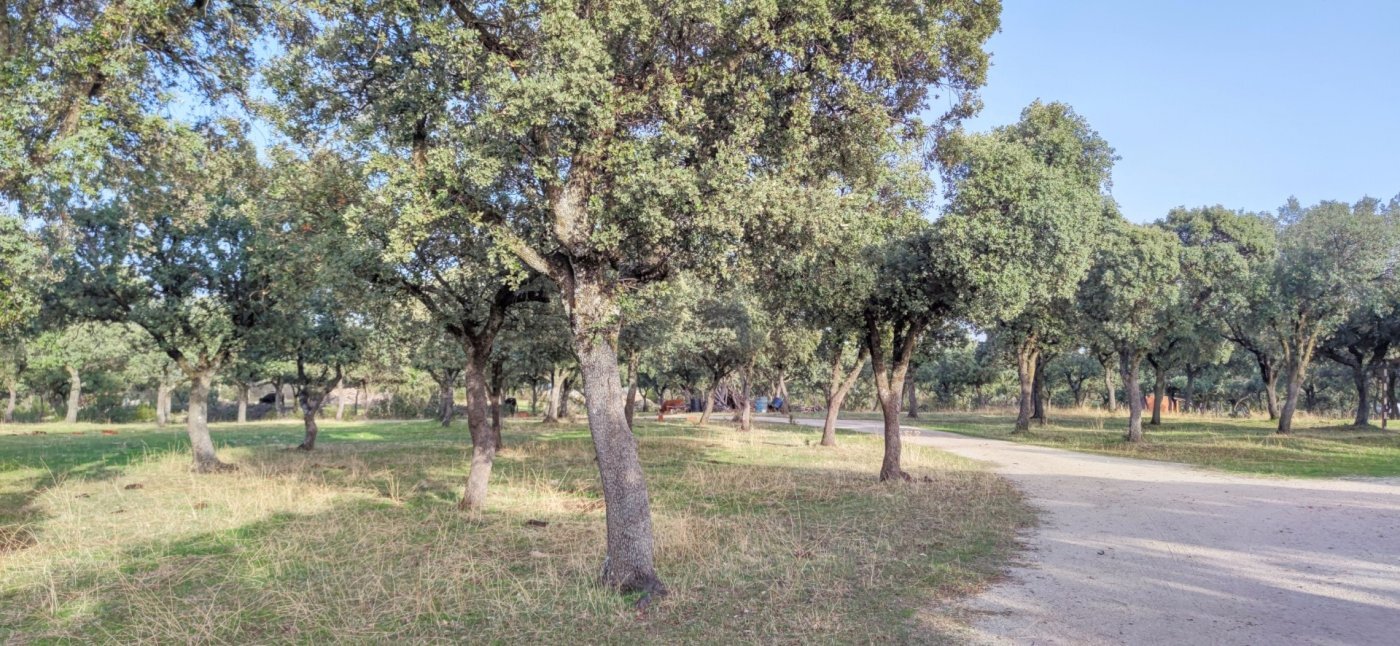 40-7-1 PRECIOSA FINCA RÚSTICA CERCANA AL CASCO DE GALAPAGAR