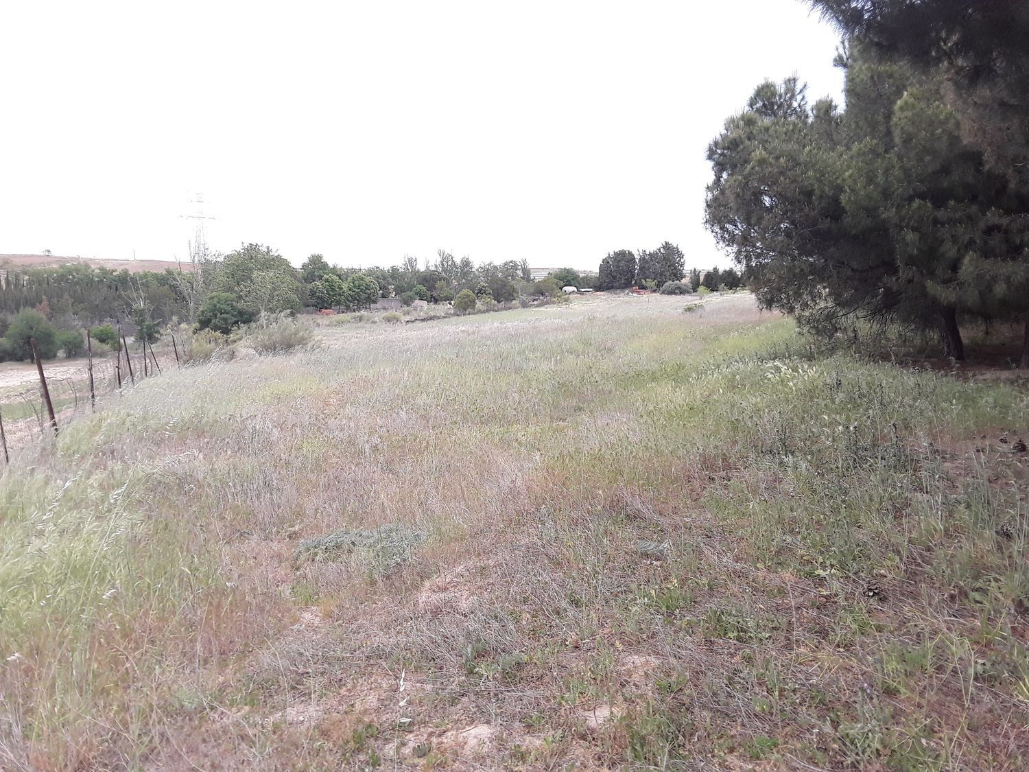 Propiedad en venta en Madrid, Moraleja de Enmedio
