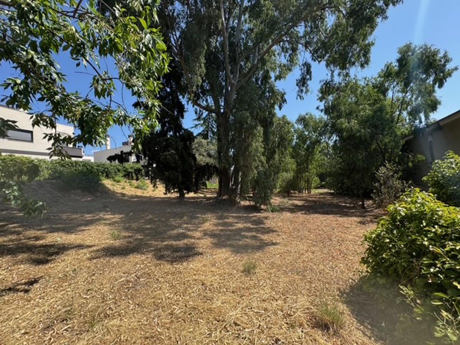14-4-2 Gran parcela en venta en las Rozas