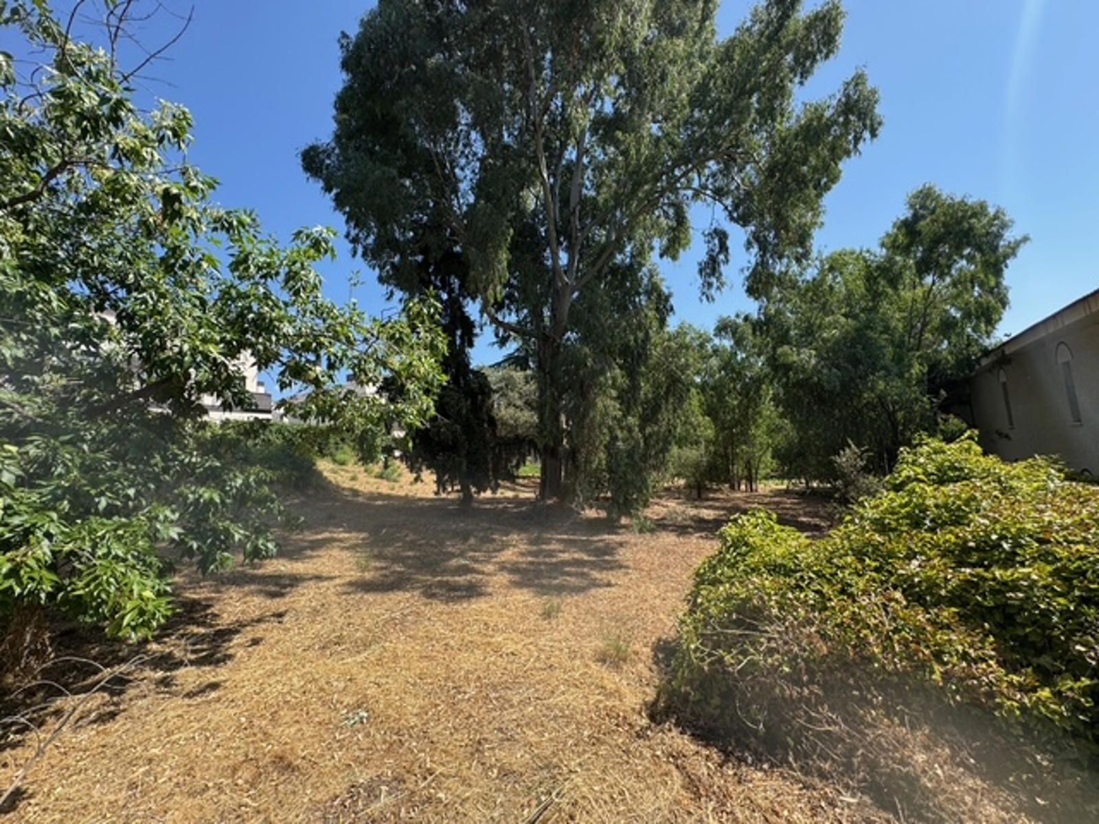 14-5-3 Gran parcela en venta en las Rozas
