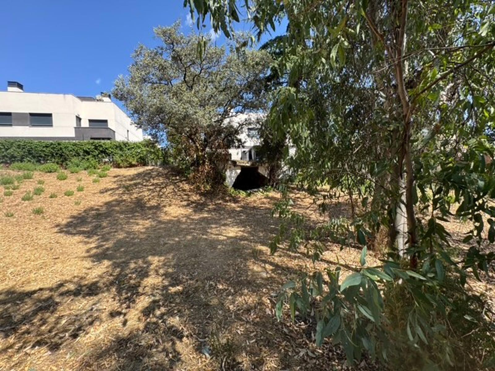 14-9-4 Gran parcela en venta en las Rozas