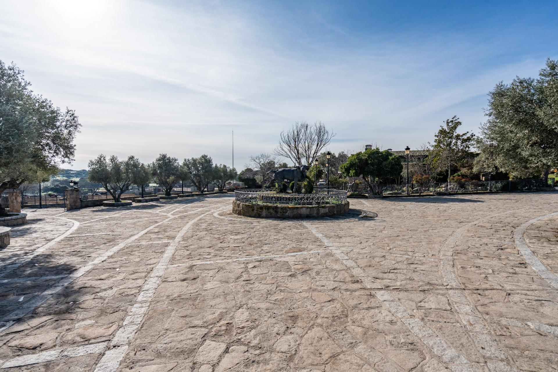 19-10-4 FINCA GANADERA DE LUJO EN ROBLEDO DE CHAVELA CON PLAZA DE TOROS Y ESPACIOS PARA EVENTOS
