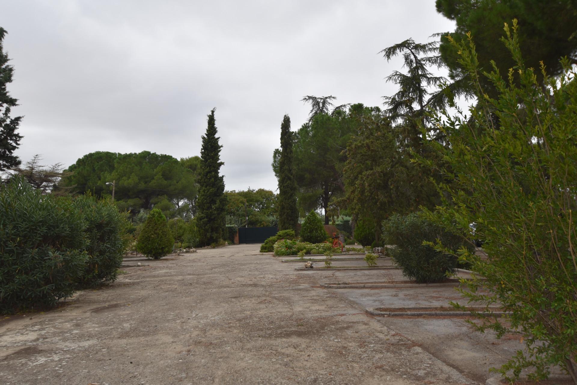 19-4 SINGULAR FINCA EN FUENTE EL SAZ DE JARAMA CON LICENCIA APROBADA.