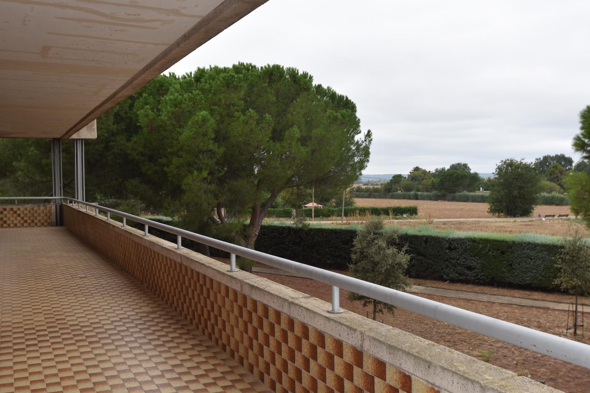 19-5 SINGULAR FINCA EN FUENTE EL SAZ DE JARAMA CON LICENCIA APROBADA.