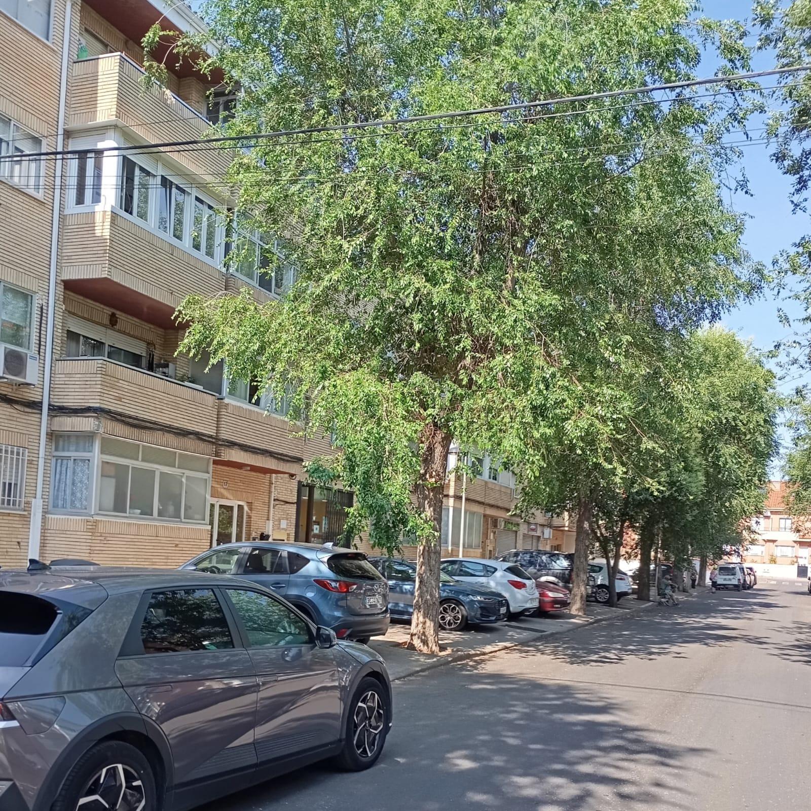 🌳 Entre árboles y tranquilidad, un hogar que lo tien todo en Ciempozuelos🏡
