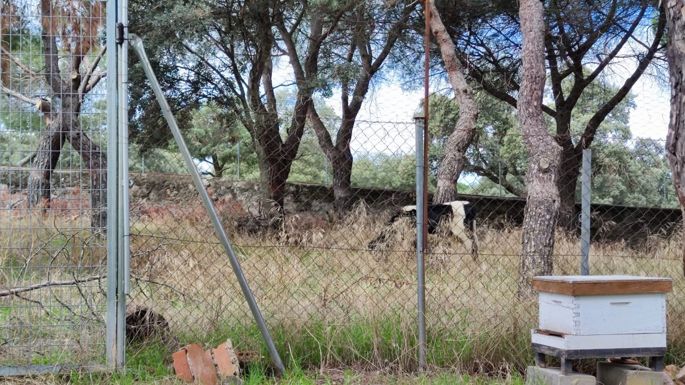 Preciosa casa en el campo
