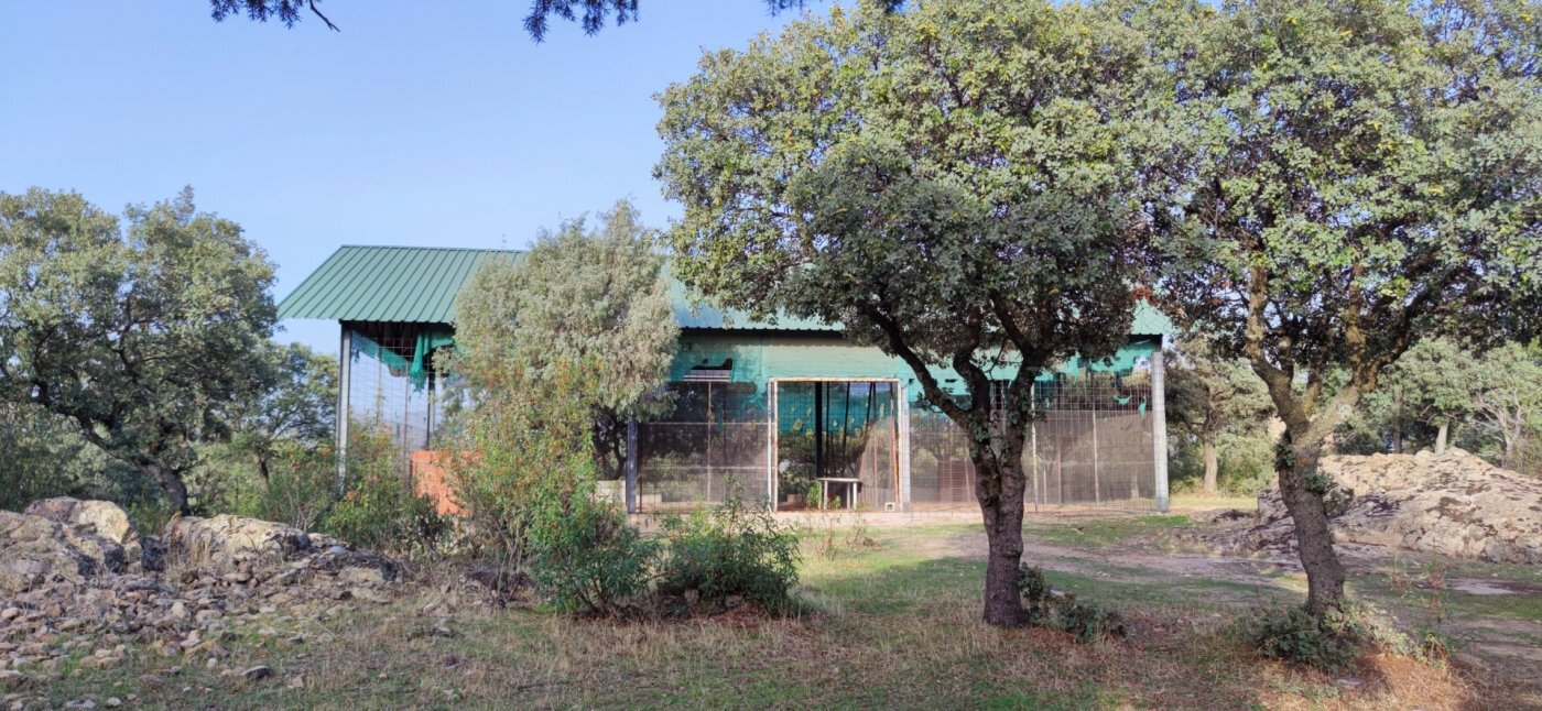 PRECIOSA FINCA RÚSTICA CERCANA AL CASCO DE GALAPAGAR