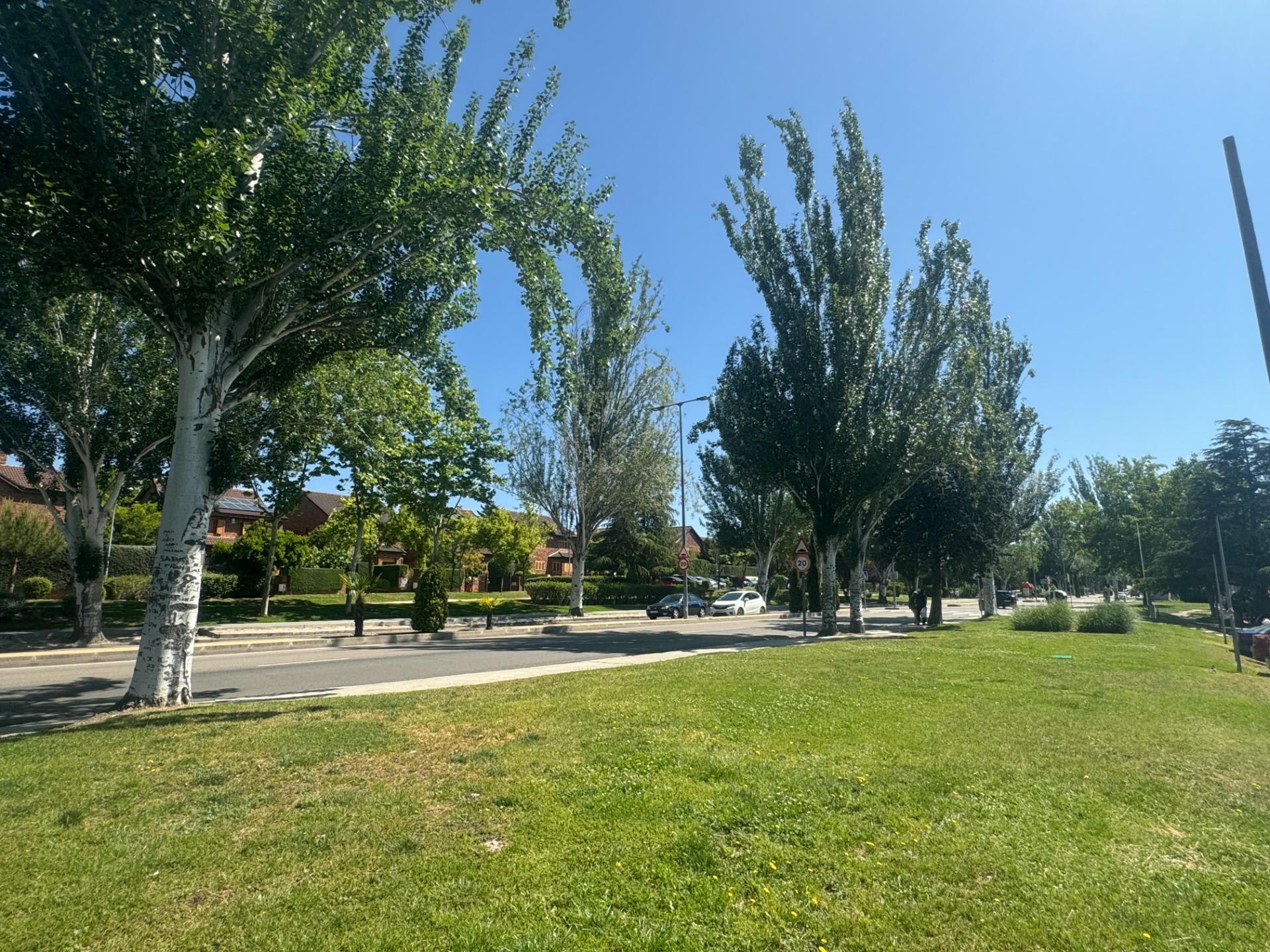 43-9-1 ^**^LOCAL EN ESQUINA CON TERRAZA EN RENTABILIDAD BRUTA DE 9.5%: ¡EL LUGAR IDEAL PARA TU NEGOCIO EN LAS ROZAS^**^ Presentamos un local comercial en una ubicación estratégica, situado en una de las e
