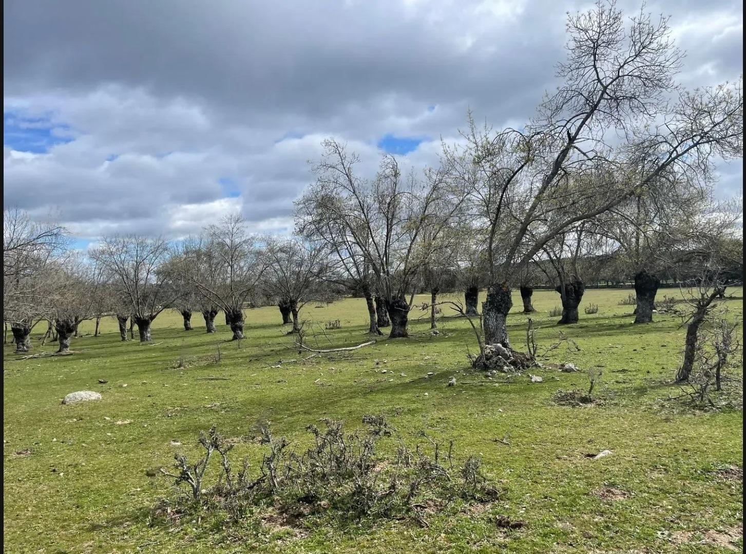 Finca/Solar en , Galapagar