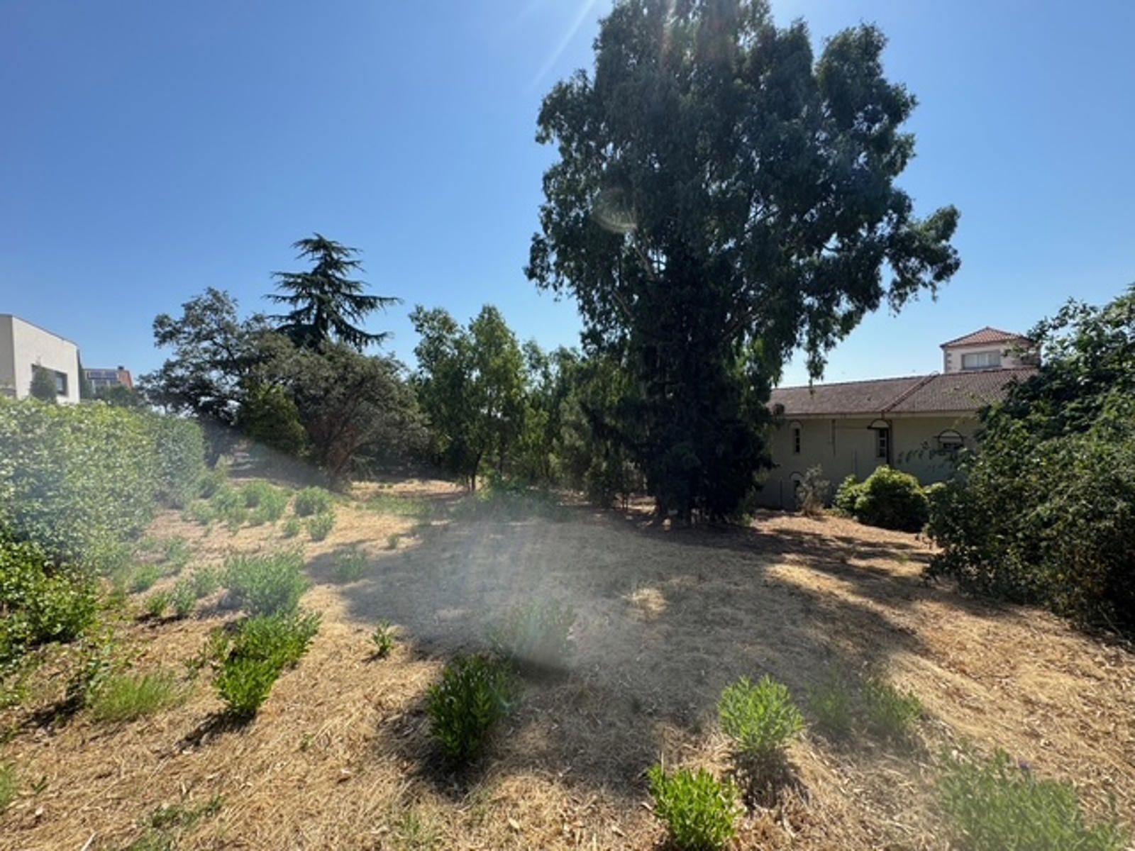14-7-3 Gran parcela en venta en las Rozas