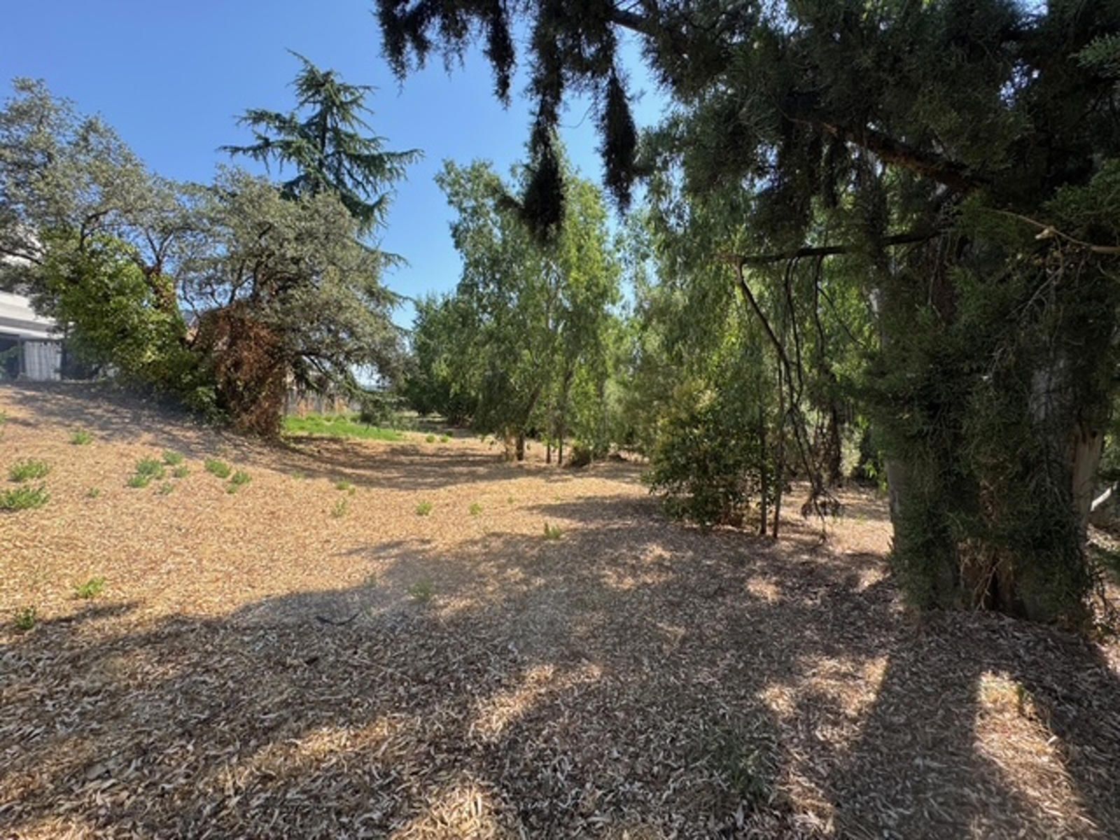 14-8 Gran parcela en venta en las Rozas