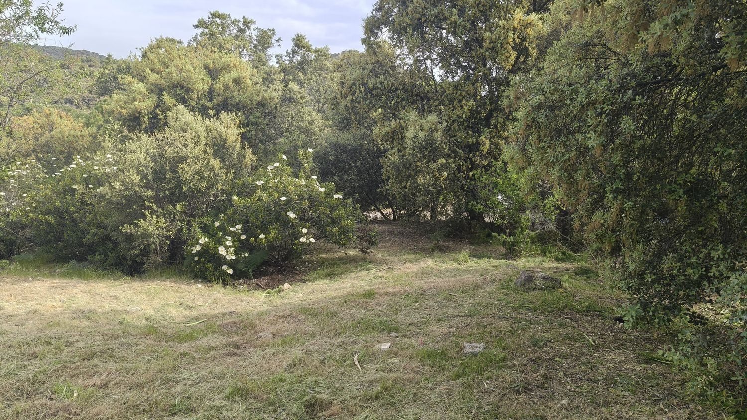 Propiedad en venta en Madrid, Valdemorillo