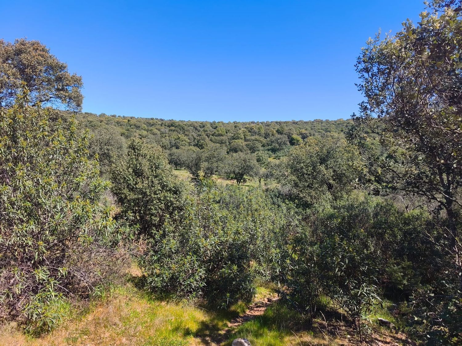 Propiedad en venta en Madrid, Villa del Prado