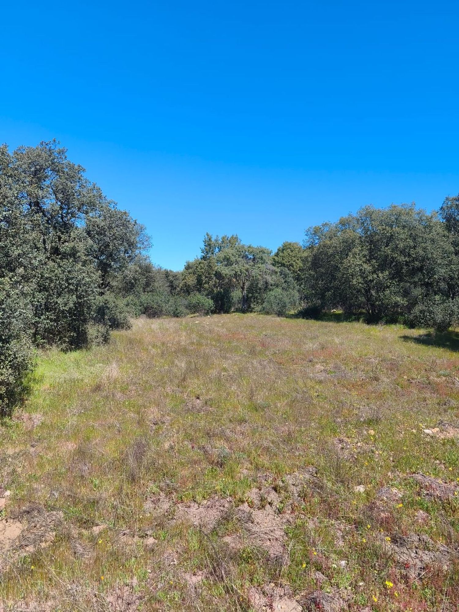 Propiedad en venta en Madrid, Villa del Prado