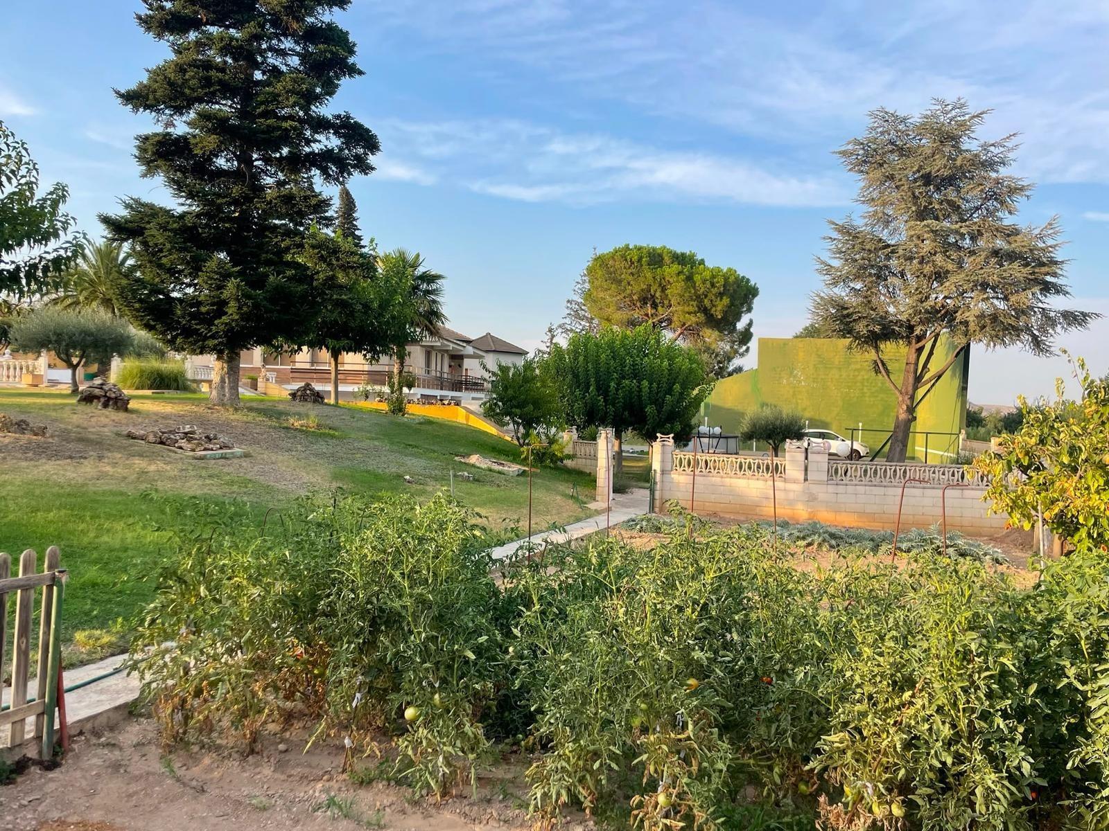 2-4-55 Exclusiva Finca de 2740 metros, con vivienda de 310 metros y piscina privada
