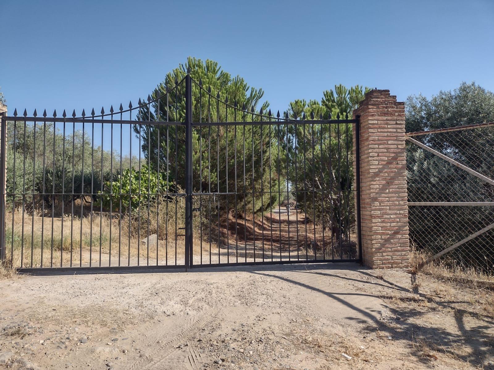 MAGNIFICA PARCELA DE CASI DOS HECTAREAS, CON CHALET Y PISCINA