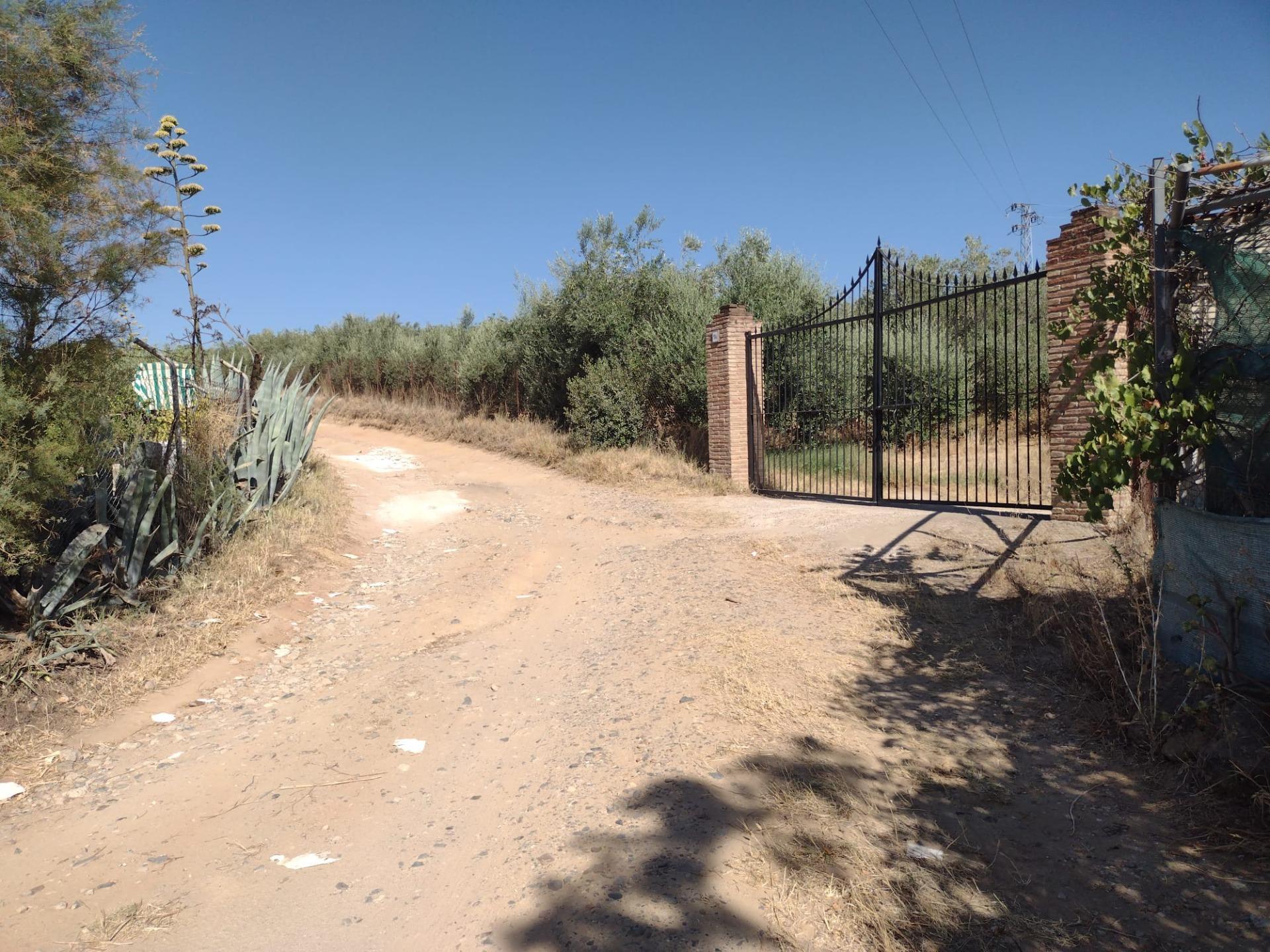 MAGNIFICA PARCELA DE CASI DOS HECTAREAS, CON CHALET Y PISCINA