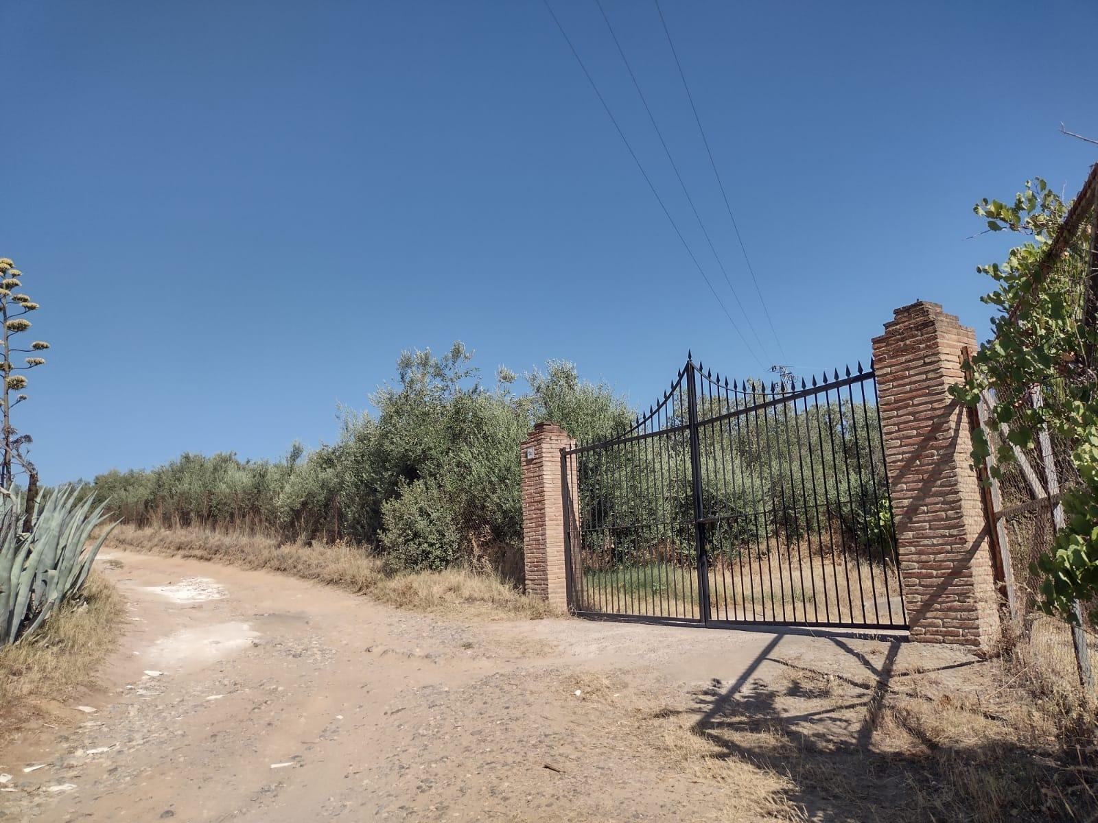 MAGNIFICA PARCELA DE CASI DOS HECTAREAS, CON CHALET Y PISCINA