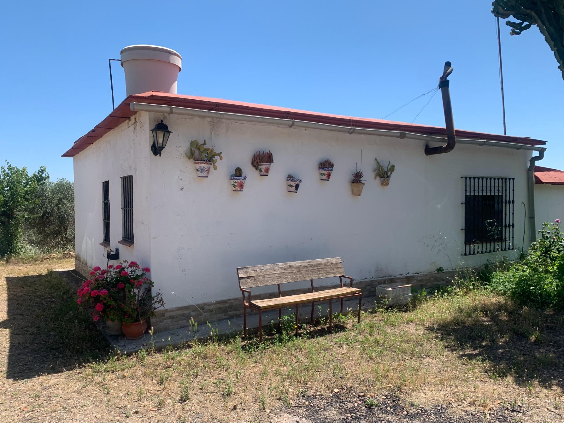 MAGNIFICA PARCELA DE CASI DOS HECTAREAS, CON CHALET Y PISCINA