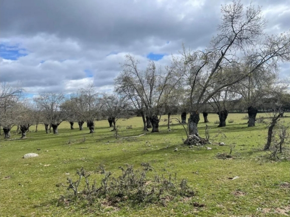 Finca/Solar en , Galapagar