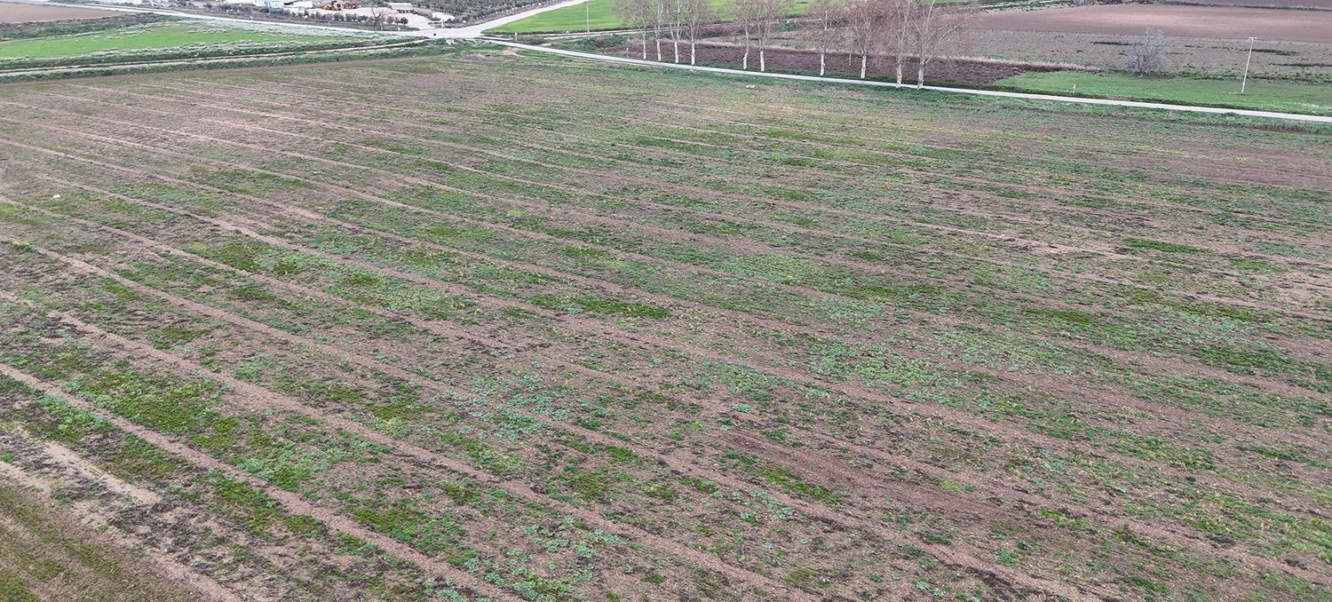Propiedad en venta en Madrid, Colmenar de Oreja